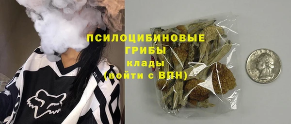 марки lsd Белокуриха