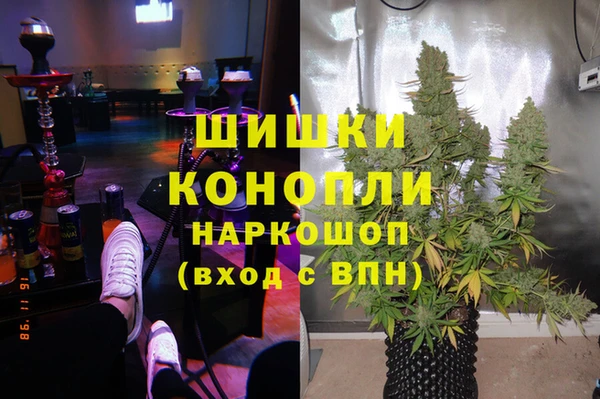 марки lsd Белокуриха