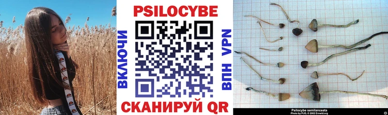 Псилоцибиновые грибы Psilocybine cubensis  Выкса 